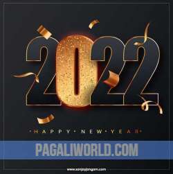 Happy New Year 2022 Status Video Poster