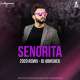 Senorita (2020 Remix)   DJ Abhishek Poster