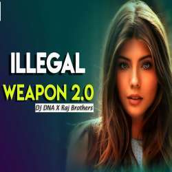 Illegal Weapon 2.0 Remix - DJ DNA n Raj Brothers Poster