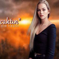 Neyim Olacaktin (Kadir YAGCI Remix) - Zehra Poster