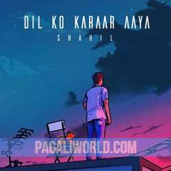 Dil Ko Karaar Aaya Lofi  Remix Poster