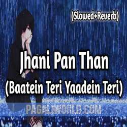 Jhani Pan Than Poster
