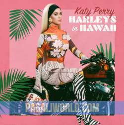Harleys In Hawaii Poster