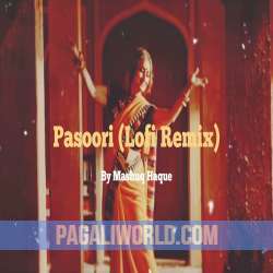 Pasoori (Lofi remix) Poster