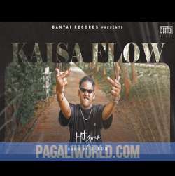 Kaisa Flow Poster