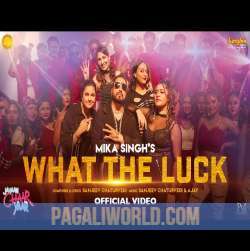 What The Luck Poster