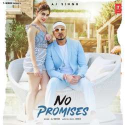 No Promises Poster