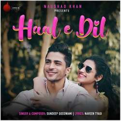 Haal E Dil Poster