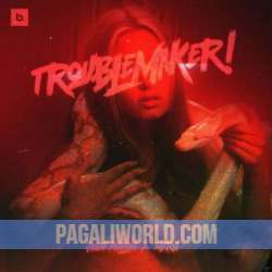 Troublemaker Poster