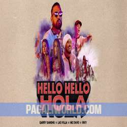 Hello Hello Hola Poster