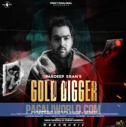 Gold Digger Poster