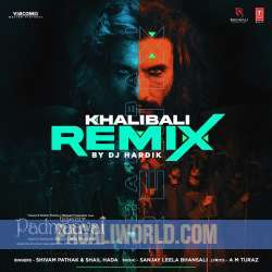 Khalibali Remix Poster