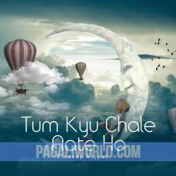 Tum Kyu Chale Aate Hoo Poster