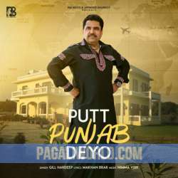 Putt Punjab Deyo Poster