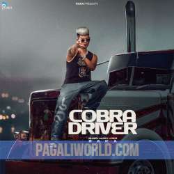 Cobra Driver Poster
