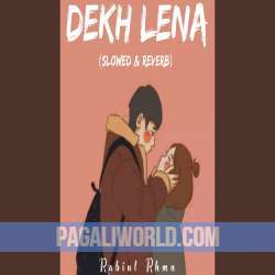 Dekh Lena (slowed n reverb) Poster