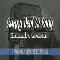 Sunny Deol Si Body Slowed x reverb Poster