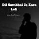 Dil Sambhal Jaa Zara Lofi Mix Poster