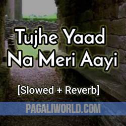 Tujhe Yaad Na Meri Ayee 2 (Slowed Reverb) Poster