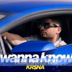 Wanna Know Poster