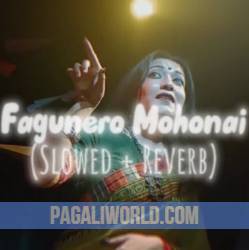 Fagunero Mohonai (Slowed Reverb) Female Version Poster