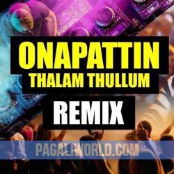 Onapattin Thalam Thullum Remix Poster