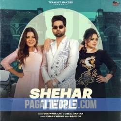 Shehar Tere Poster