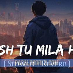 Kaash Tu Mila Hota (Slowed Reverb) Poster