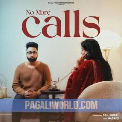 No More Calls Sanj Gosal Poster