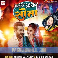 Sorry Sorry Sona Poster