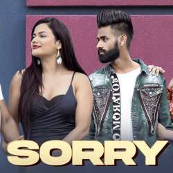 Sorry Poster