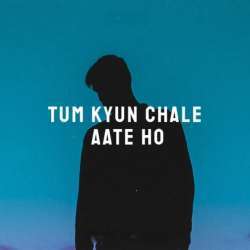 Tum Kyu Chale Aate Ho Poster
