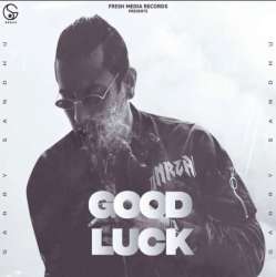 Good Luck Poster