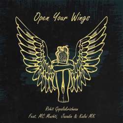 Open Your Wings Poster