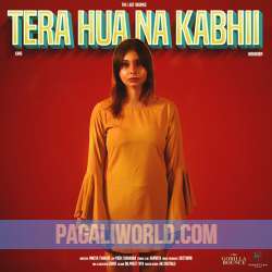 Tera Hua Na Kabhii x High Born Poster