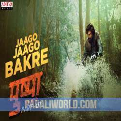 Jaago Jaago Bakre Poster